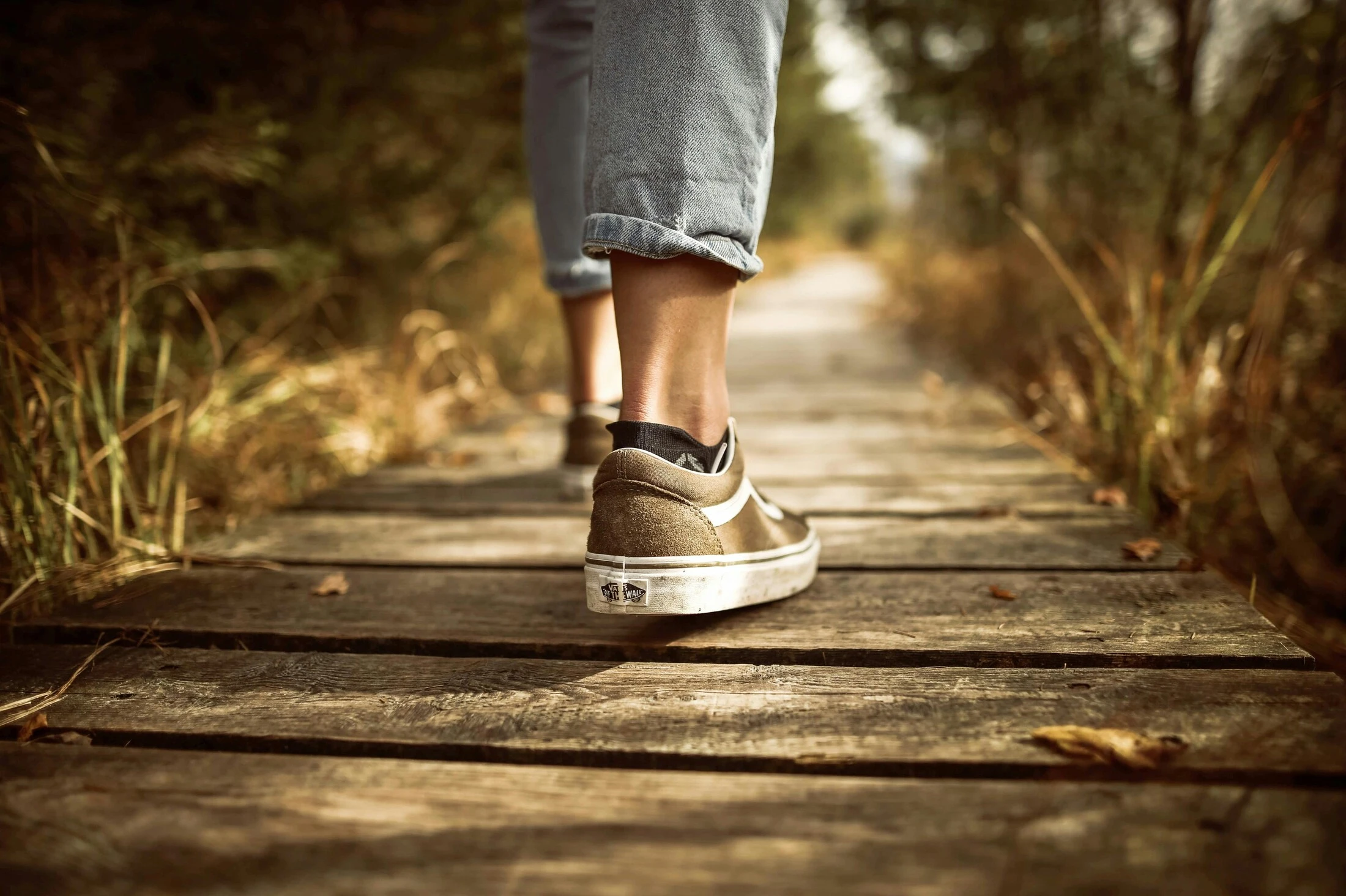 Planted Waterways and Walking Paths
